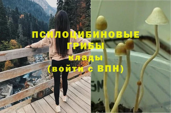 таблы Пестово