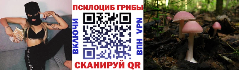 дарнет шоп  блэк спрут сайт  Галлюциногенные грибы MAGIC MUSHROOMS  Чердынь 